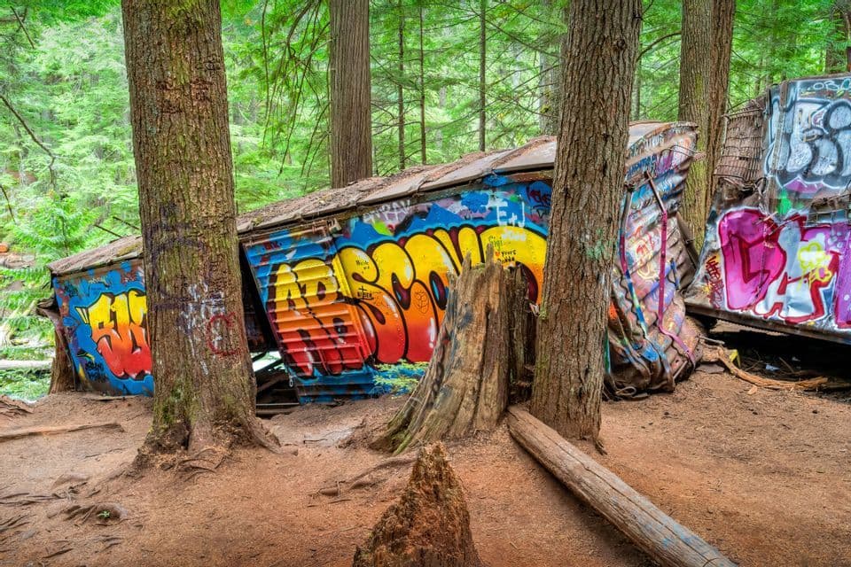 Wrecked train cars covered in colorful graffiti sit amongst tall trees in a lush green forest.