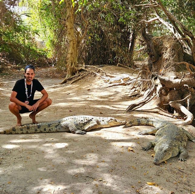 Ein Mann hockt im Sand neben mehreren großen Krokodilen in einem bewaldeten Gebiet.