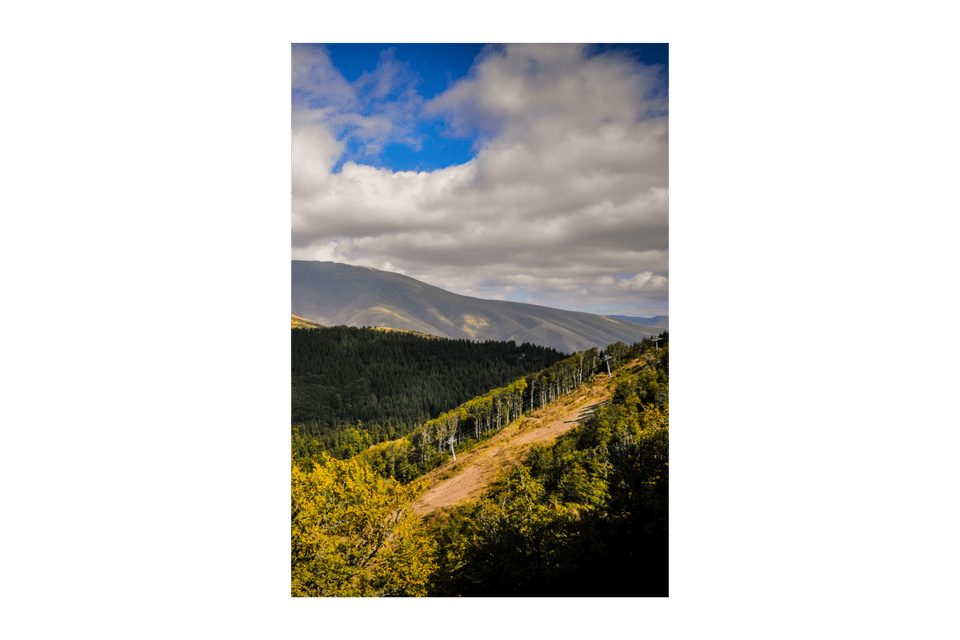 Una seggiovia risale un sentiero erboso su un ripido versante montano, coperto di alberi verdi e gialli, sotto un cielo nuvoloso.