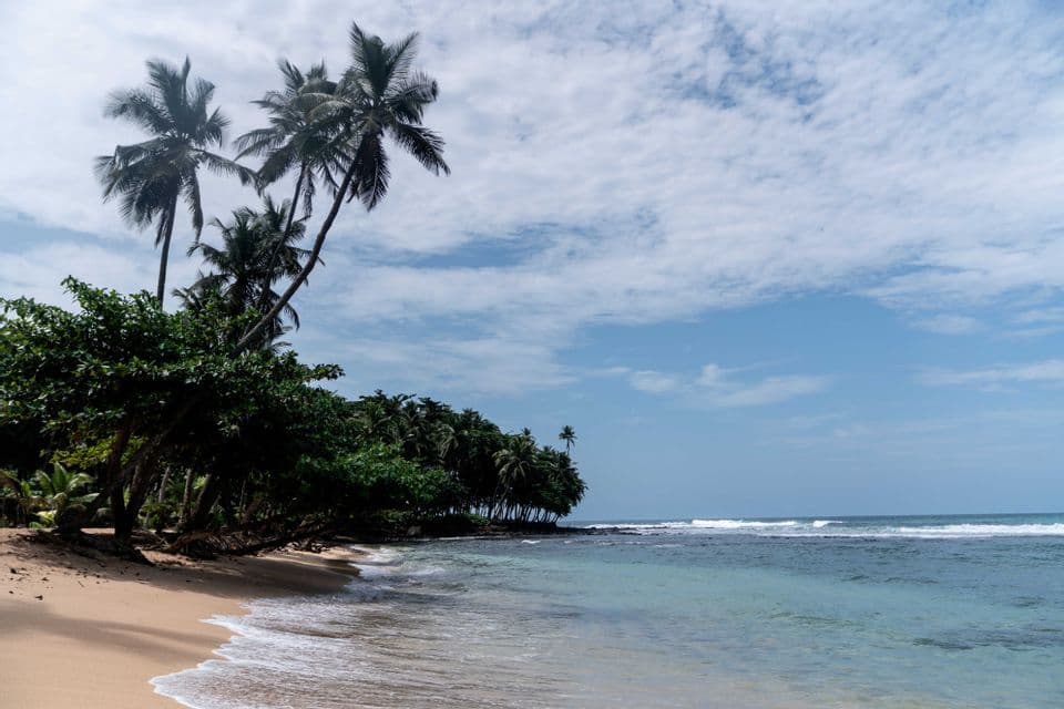 Una spiaggia tropicale sabbiosa con palme che si chinano sulla riva mentre le onde dell'oceano lambiscono la sabbia sotto un cielo nuvoloso.