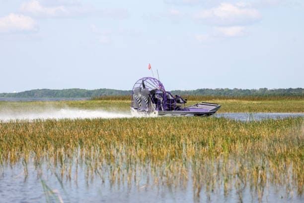 A purple airboat speeds through a grassy marsh, creating a spray of water under a partly cloudy sky.