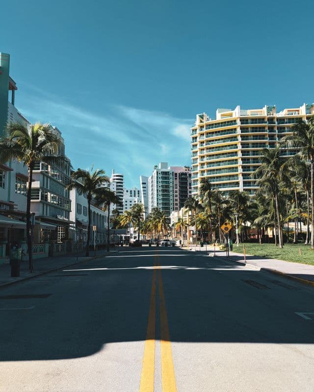 A wide city street with double yellow lines is flanked by palm trees and modern buildings under a clear blue sky.