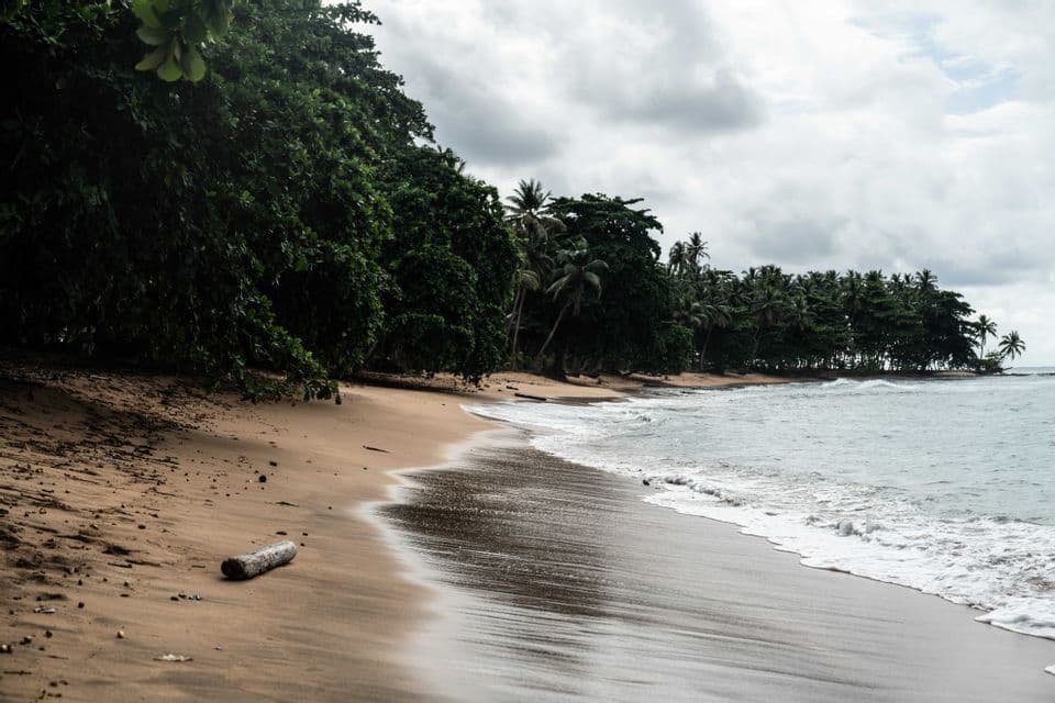 Le onde dell'oceano si infrangono su una spiaggia sabbiosa costeggiata da fitti alberi tropicali sotto un cielo nuvoloso.