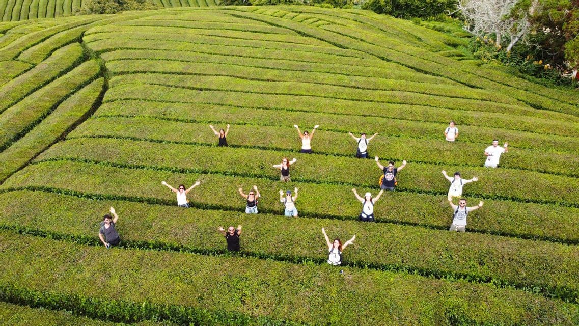An aerial view of a WeRoad group trip with people scattered and waving from inside a large, terraced green tea plantation.