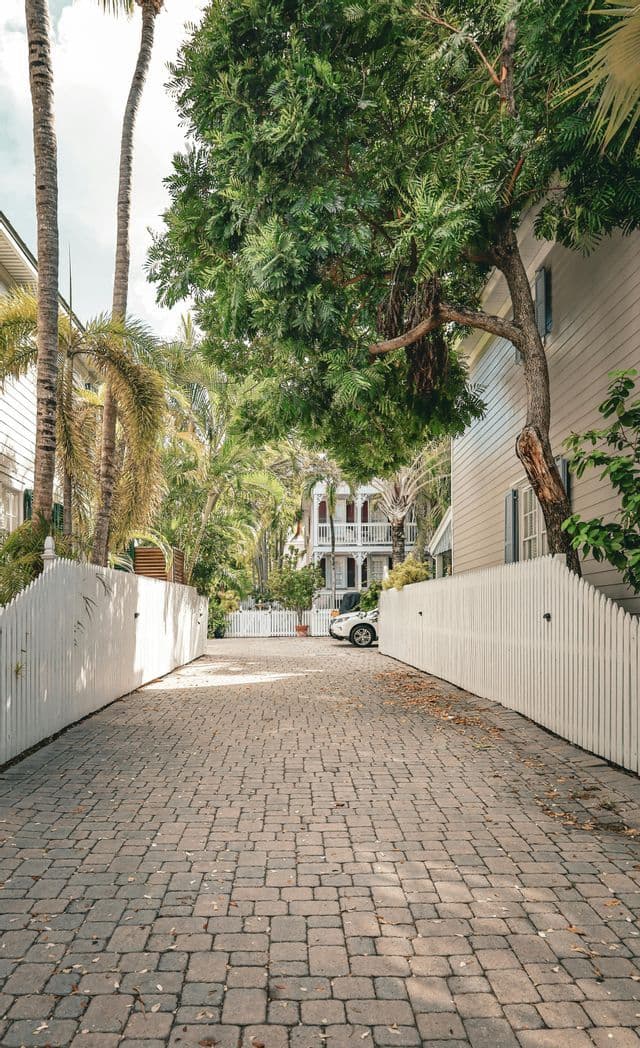 A cobblestone driveway lined with white picket fences leads towards houses surrounded by palm trees and lush greenery.