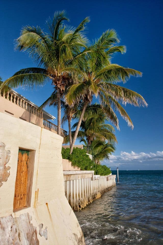 A weathered building with tall palm trees stands next to a seawall along the ocean under a clear blue sky.