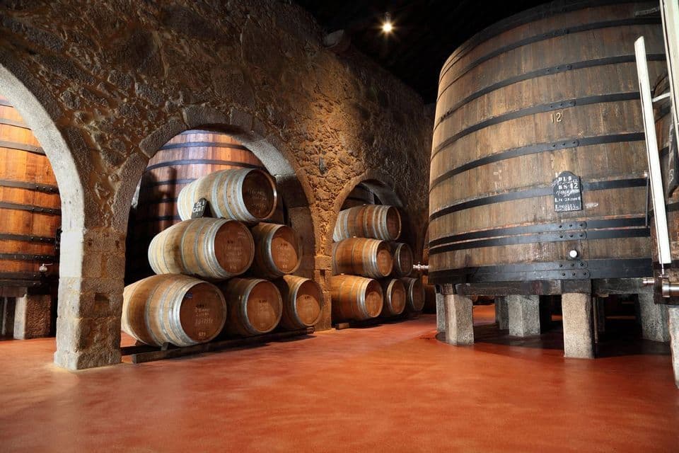 Large wooden barrels and stacked casks are stored in a traditional wine cellar with stone arches and a red floor.