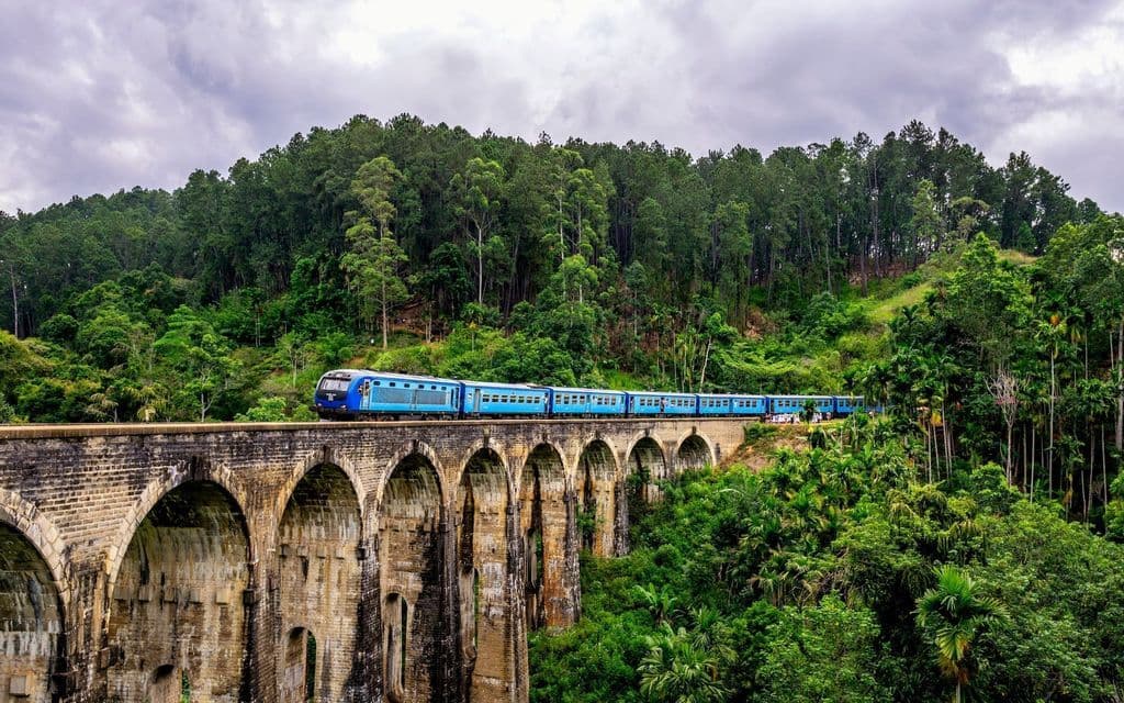 Ein langer blauer Zug fährt über eine steinerne Bogenbrücke, umgeben von einem dichten grünen Wald unter einem bewölkten Himmel.