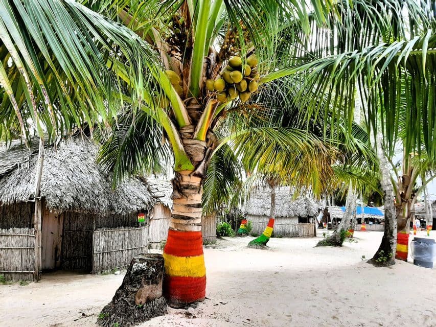 Un cocotier au tronc peint en rouge, jaune et vert se dresse sur une plage de sable devant des paillotes.