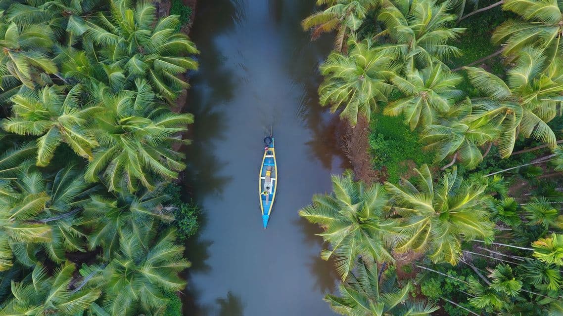 Una vista aerea dall'alto di una barca colorata su un fiume, affiancata da una fitta foresta di palme verdi.