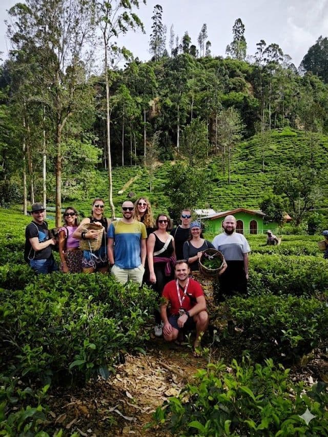 Eine WeRoad-Gruppe posiert für ein Foto in einer üppig grünen Teeplantage an einem terrassierten Hang.