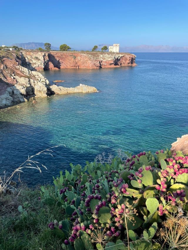 Fichi d'India con frutti viola su una scogliera a picco su un mare turchese, con scogliere di roccia rossa e una torre bianca.