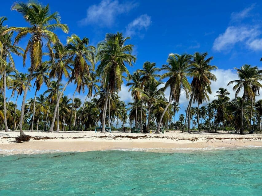 Una vista dall'acqua turchese di una spiaggia di sabbia bianca orlata da alte palme sotto un cielo azzurro brillante con qualche nuvola.