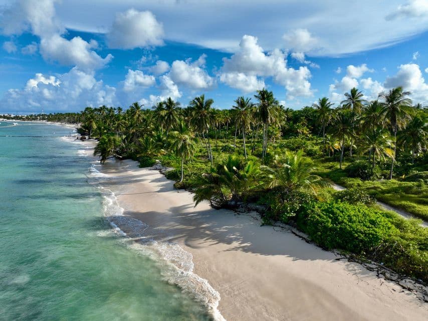 Una vista aerea di una spiaggia tropicale con sabbia bianca e acqua turchese, costeggiata da una fitta foresta di palme sotto un cielo azzurro nuvoloso.