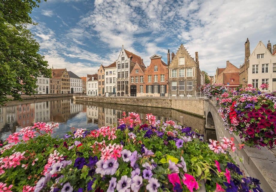 A view over colorful flowers of traditional gabled houses lining a canal, with their reflections in the calm water.