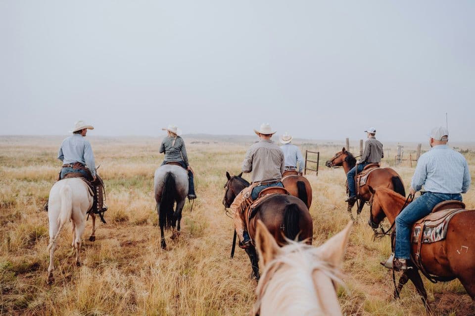 A WeRoad group trip of people wearing cowboy hats rides horses through a grassy field under a foggy sky.