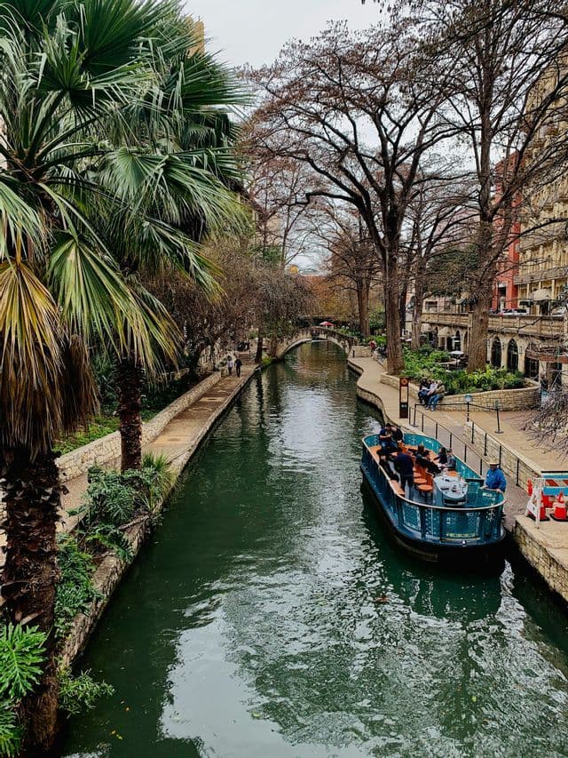 An overhead view of a WeRoad group trip on a tour boat floating down a city canal lined with walkways, palm trees, and buildings.