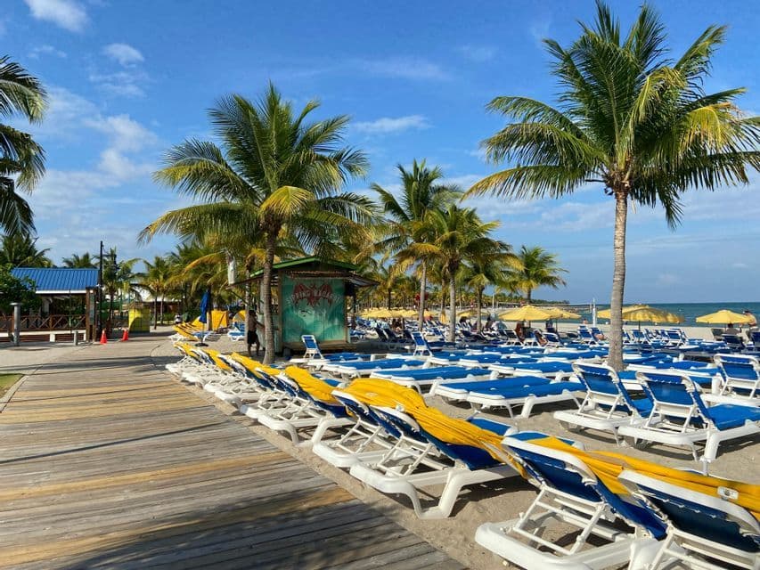 Rows of empty blue and white lounge chairs line a sandy beach next to a boardwalk, with palm trees in the background.