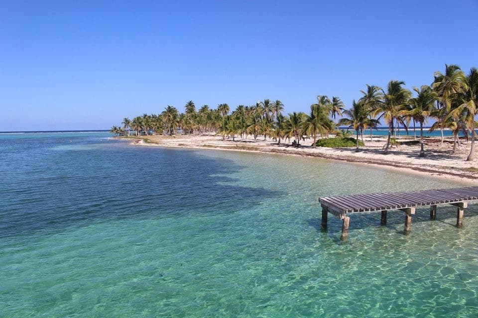 A wooden pier extends over clear, turquoise water towards a sandy beach lined with palm trees under a blue sky.