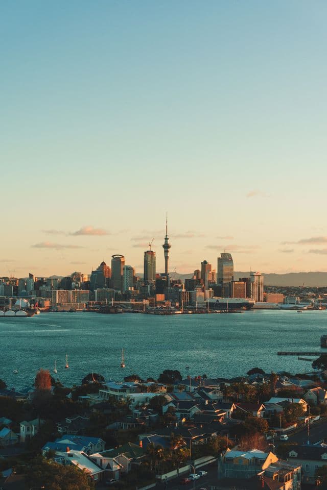 A city skyline with a prominent tower stands across a body of water at sunset, viewed from above a coastal neighborhood.