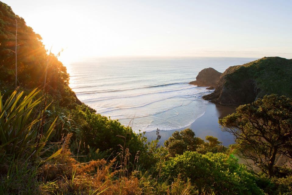 A scenic view from a green cliffside of a WeRoad group trip on a beach cove as waves roll in at sunset.