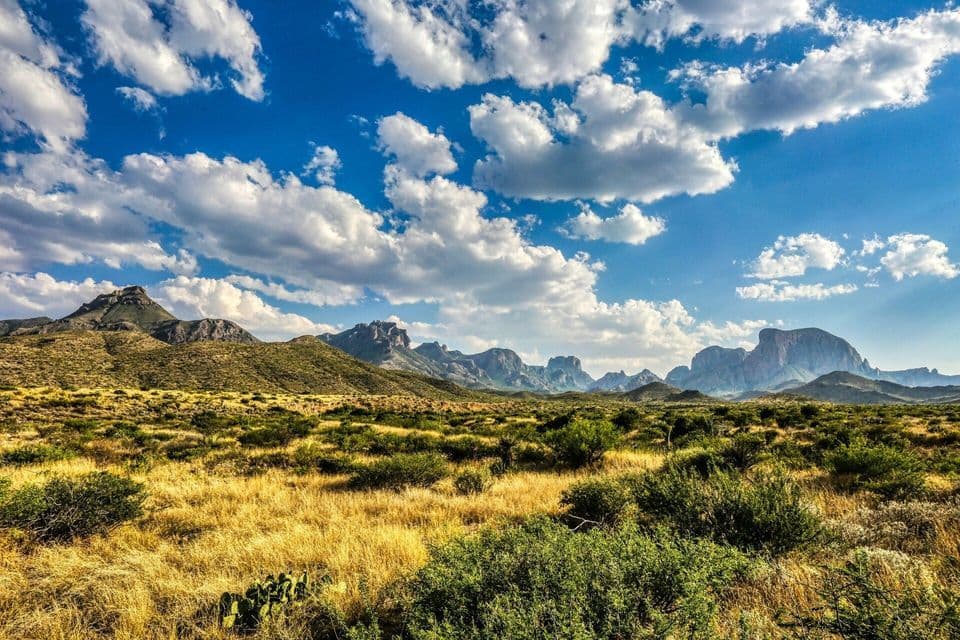 An arid landscape of yellow grass and green scrub leading to a distant mountain range under a cloudy blue sky.