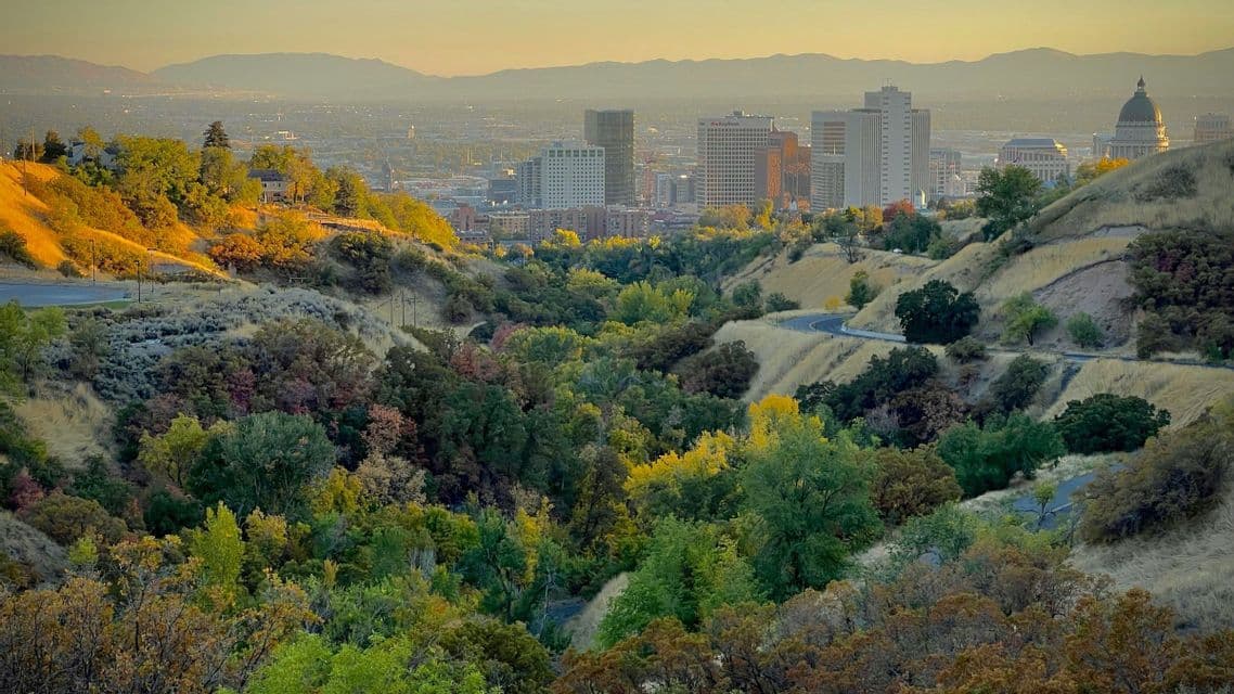 A city skyline with a domed capitol, viewed from rolling hills covered with trees during a golden sunset.