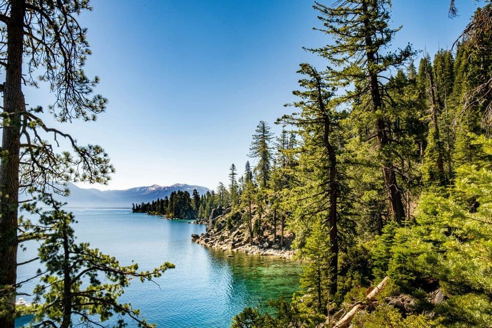 A high-angle view of a clear turquoise lake surrounded by a dense pine forest, with mountains in the distance under a blue sky.