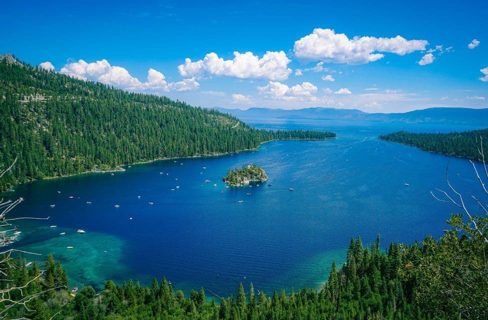 An elevated view of a deep blue bay with a small, forested island, surrounded by pine-covered hills and dotted with boats.