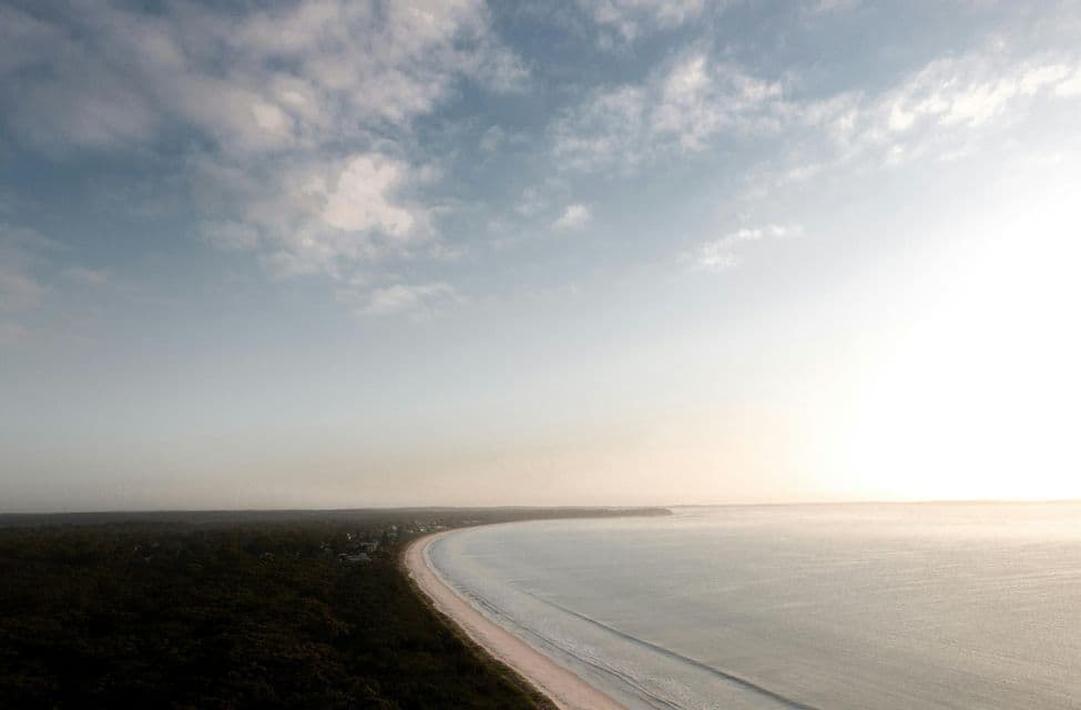 An aerial view of a long, curving coastline where a dense forest meets a sandy beach and the ocean.