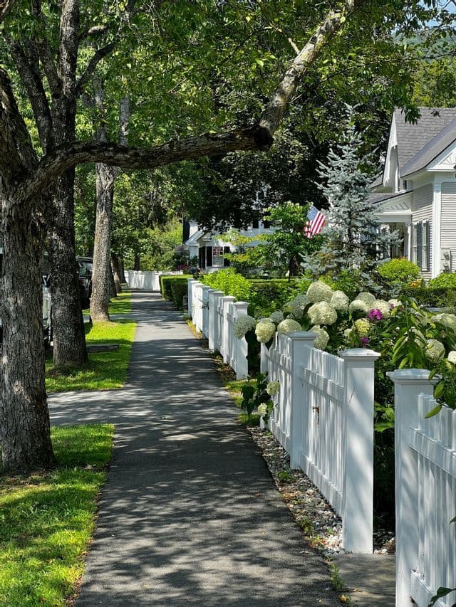 A sidewalk lined with trees and a white picket fence with hydrangeas in a residential neighborhood on a sunny day.
