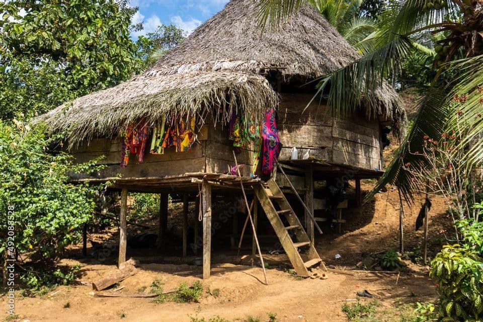 Una casa di legno su palafitte con tetto di paglia e tessuti colorati appesi all'esterno, immersa in una lussureggiante foresta tropicale.