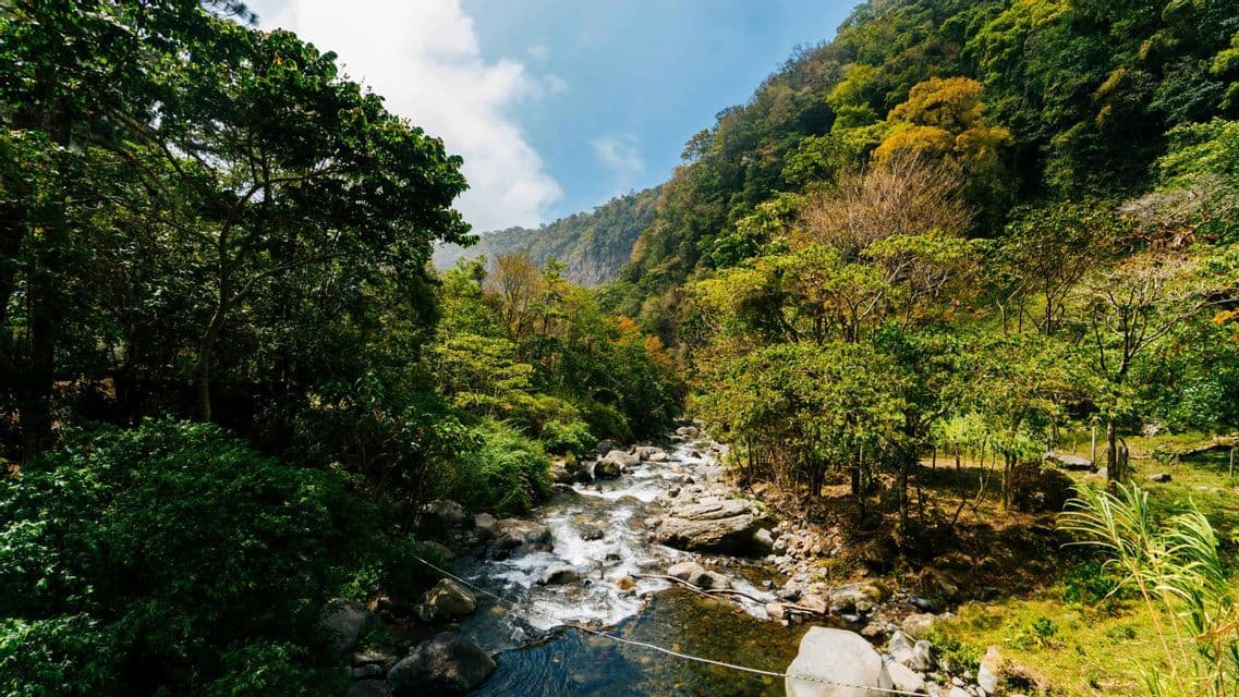 Un fiume roccioso scorre in una valle lussureggiante e verde, piena di alberi, sotto un cielo azzurro parzialmente nuvoloso.