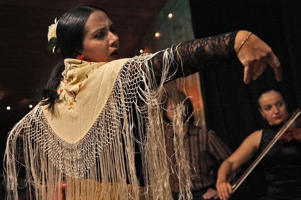 Une danseuse de flamenco en châle à franges exécute une performance intense, accompagnée d'un violoniste dans l'obscurité.