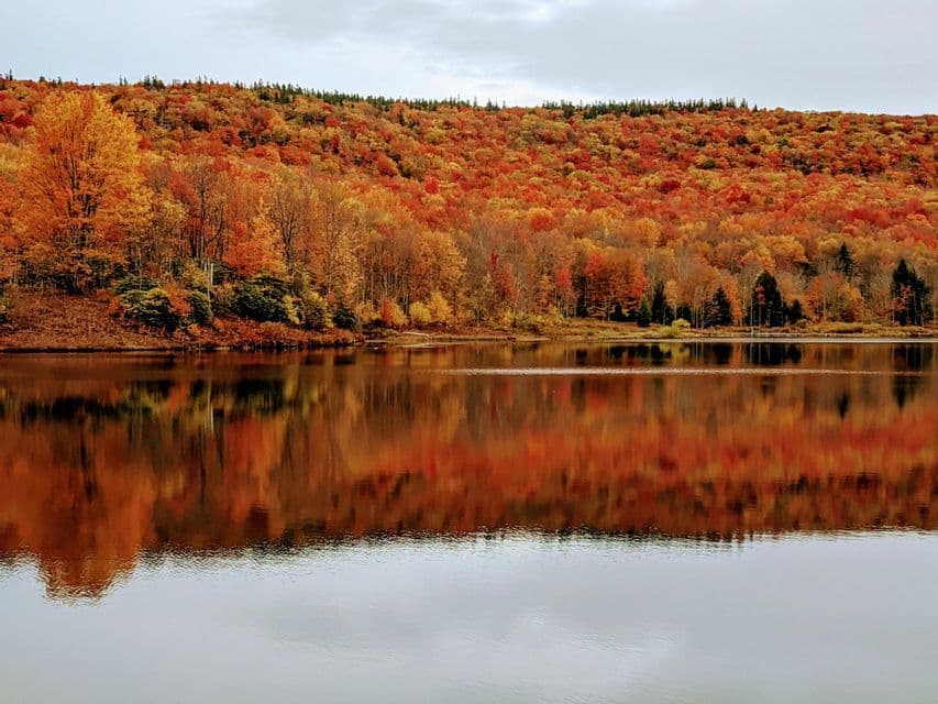 A hillside forest with bright orange and red autumn foliage is reflected in the calm surface of a lake under a cloudy sky.