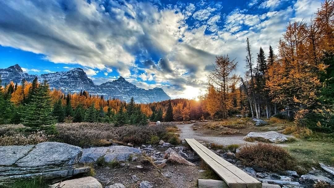 A wooden footbridge on a trail winds through an autumn forest of golden trees, with snow-dusted mountains in the background at sunset.