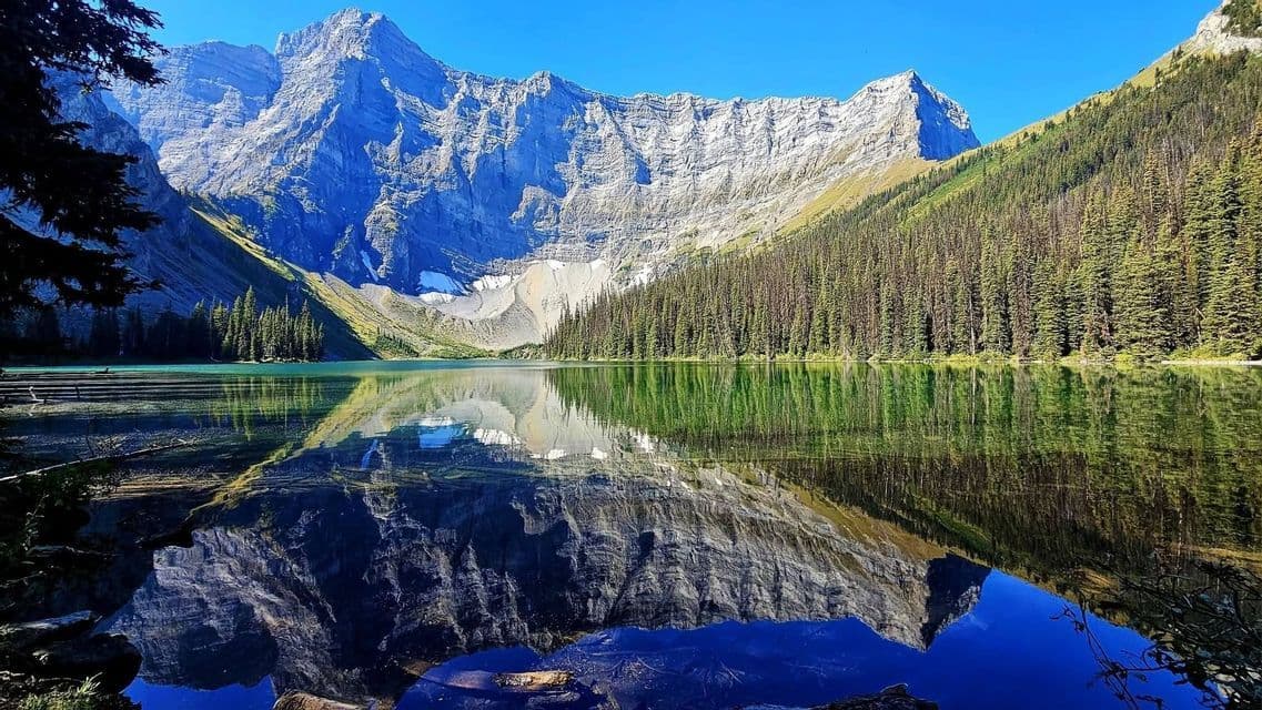 A rocky mountain range and dense pine forest perfectly reflected in the still, clear water of a turquoise alpine lake under a blue sky.