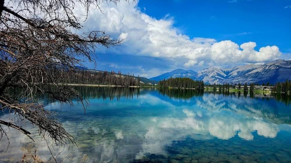 A clear mountain lake reflects the cloudy blue sky, with a bare tree branch in the foreground and a forest on the opposite shore.