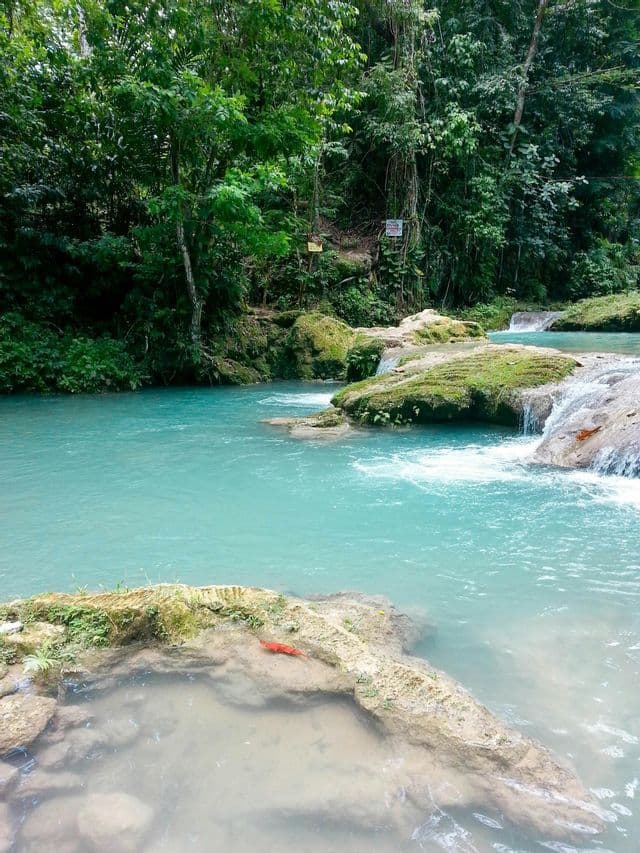 Turquoise water flows over moss-covered rocks, creating small waterfalls in a dense green forest.