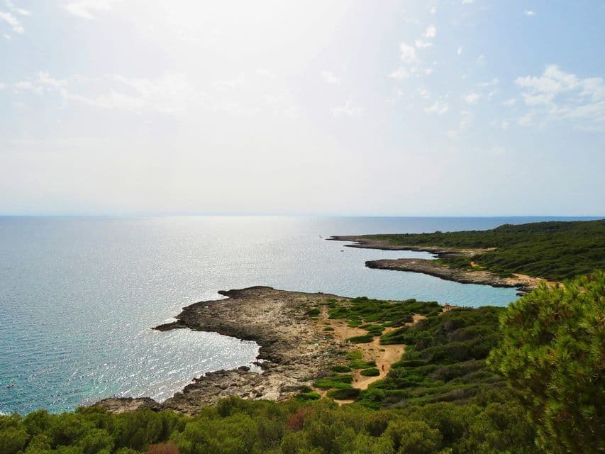 Una vista dall'alto di una costa rocciosa con vegetazione verde che si protende in un mare blu calmo sotto un cielo luminoso con nuvole leggere.