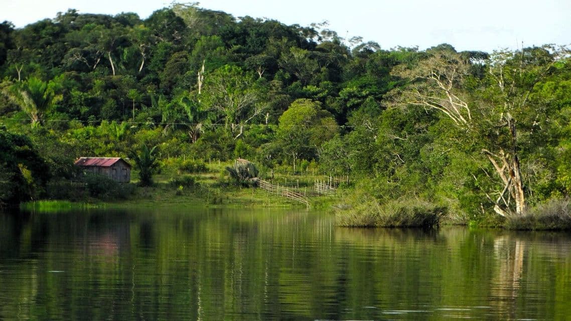 Eine kleine Holzhütte steht am Ufer eines ruhigen Flusses, umgeben von einem dichten grünen Dschungel, dessen Bäume sich im Wasser spiegeln.