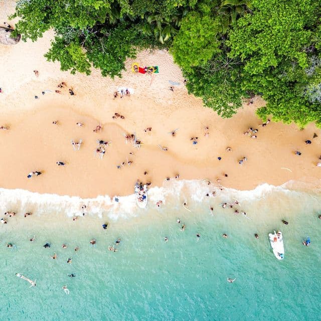 Eine Luftaufnahme eines belebten Strandes mit Menschen, die im türkisfarbenen Wasser schwimmen und am Sand neben einem Wald sonnenbaden.