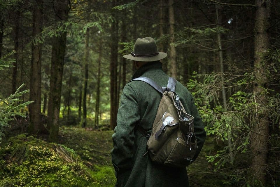 Una persona di spalle, con cappotto verde, cappello e zaino, si trova in una fitta foresta tra alberi alti.