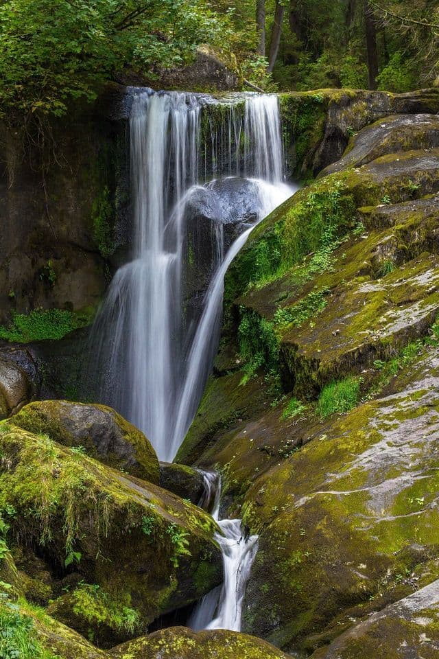 Una cascata con effetto lunga esposizione che scende su grandi rocce ricoperte di muschio in una foresta lussureggiante e verde.