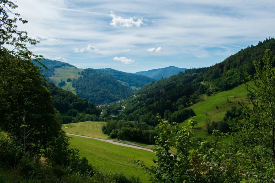 Un'ampia veduta di una valle verde e lussureggiante, adagiata tra dolci colline boscose, sotto un cielo parzialmente nuvoloso.