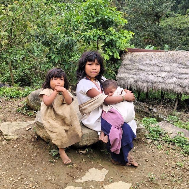 Drei indigene Kinder sitzen auf einem Felsen im Dschungel; eines hält ein schlafendes Baby in einer Trage neben einem anderen Kind.