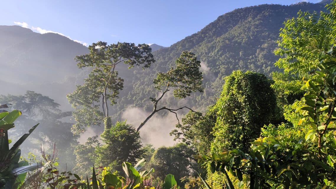 Sonnenlicht beleuchtet ein nebelverhangenes Dschungeltal, mit üppig grünen Bäumen, die die umliegenden Berge unter einem klaren blauen Himmel bedecken.