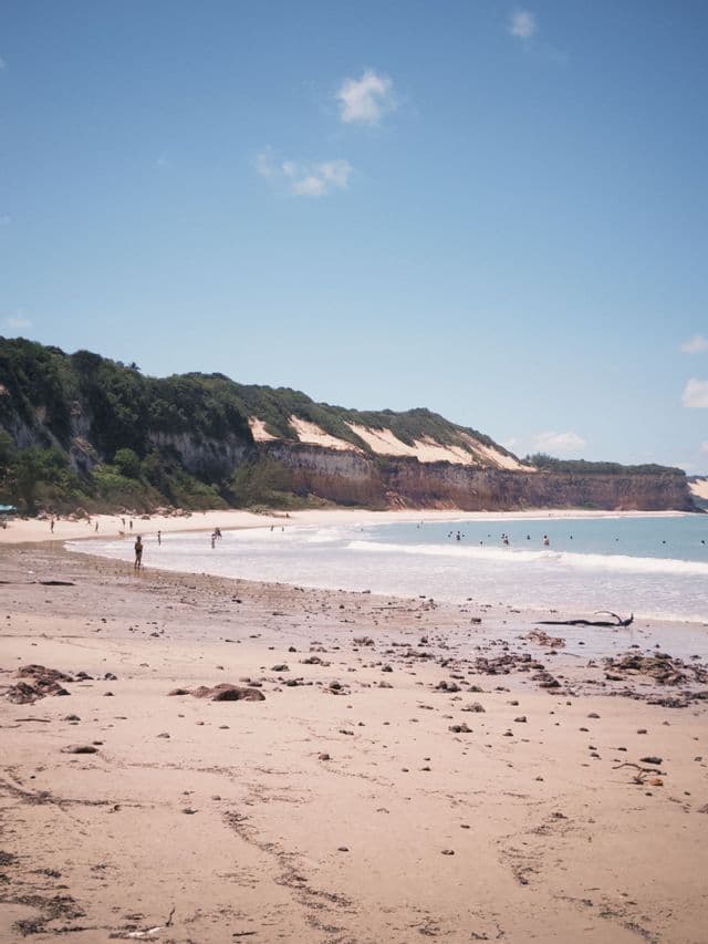 Persone che nuotano nel mare e camminano su una spiaggia sabbiosa accanto ad alte scogliere vegetate sotto un cielo azzurro e limpido.