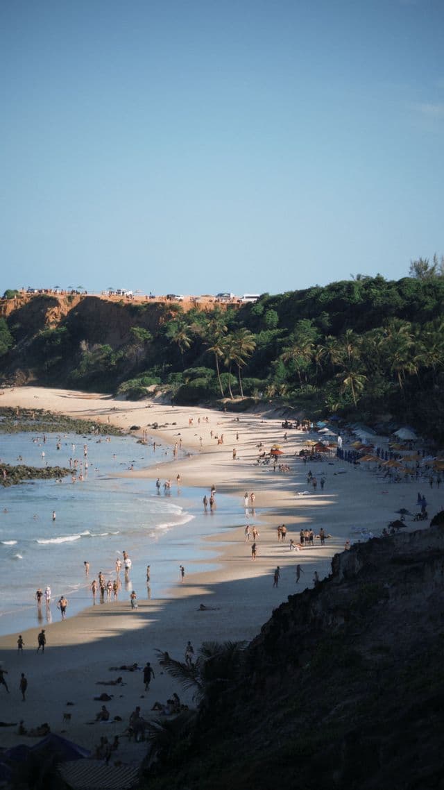 Vista aerea di una spiaggia sabbiosa affollata, con persone che nuotano e si rilassano, delimitata da scogliere e palme sotto un cielo azzurro e limpido.