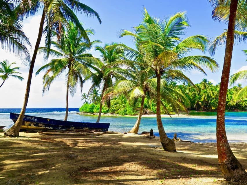 A blue boat rests on the sand of a tropical beach with many palm trees and turquoise water under a clear blue sky.